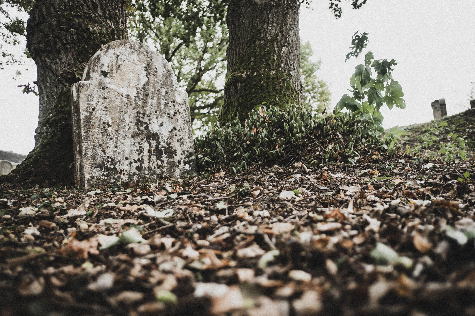 Adorf (Diemelsee), Jüdischer Friedhof